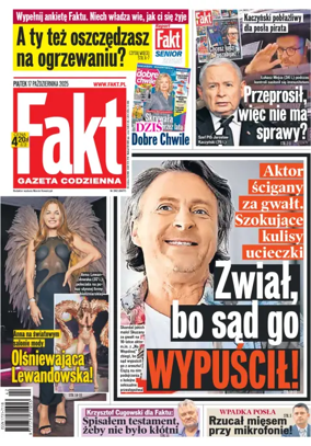 Cover of Fakt