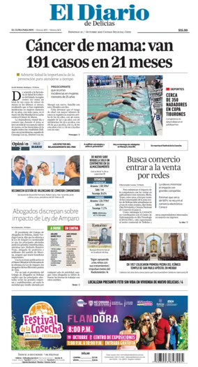 Cover of El Diario de Delicias