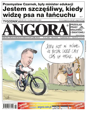 Cover of Angora
