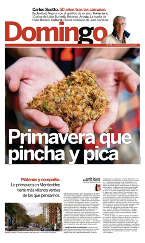 Cover of Revista domingo