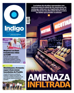 Cover of Reporte Indigo Guadalajara