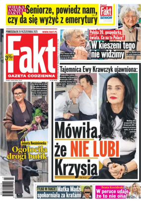 Cover of Fakt