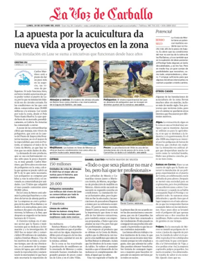 Cover of Carballo local