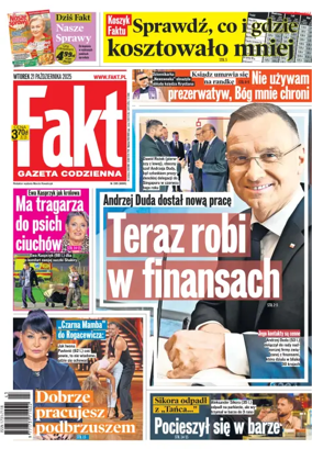 Cover of Fakt