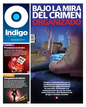 Cover of Reporte Indigo Monterrey