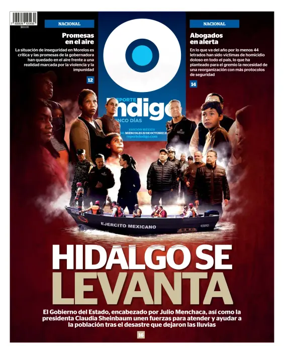 Cover of Reporte Indigo Nacional