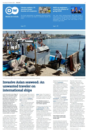 Cover of Deutsche Welle (English edition)