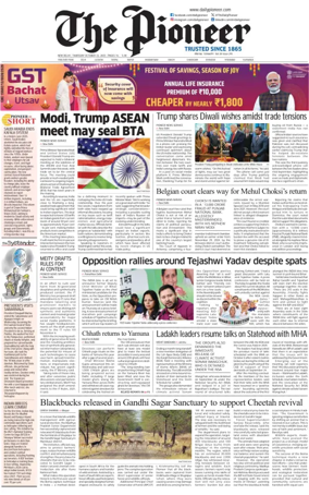 Cover of The Pioneer