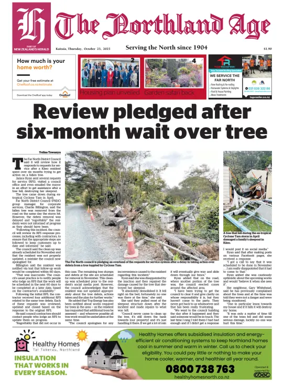 Cover of The Northland Age