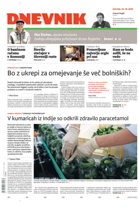 Cover of Dnevnik (Slovenija)