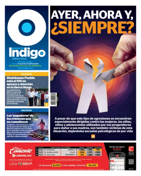 Cover of Reporte Indigo Guadalajara