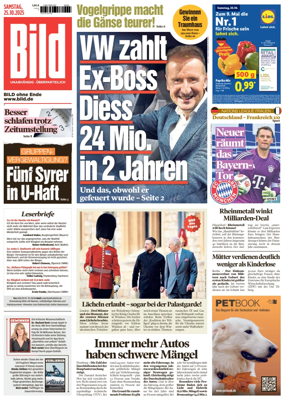 Cover of Bild