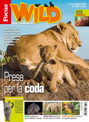 Cover of Focus Wild