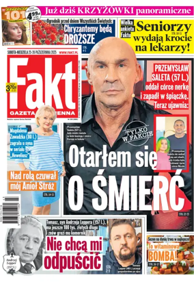 Cover of Fakt