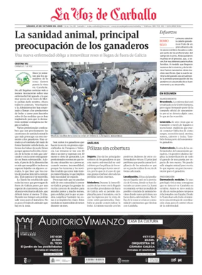 Cover of Carballo local