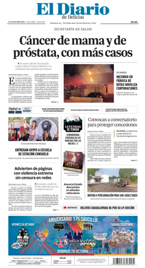Cover of El Diario de Delicias