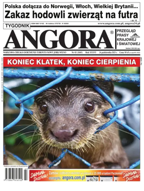 Cover of Angora