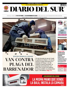 Cover of Diario del Sur