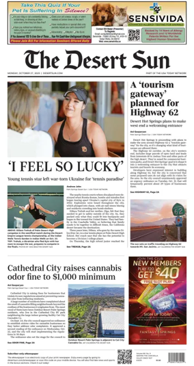 Cover of The Desert Sun