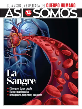 Cover of Asi Somos