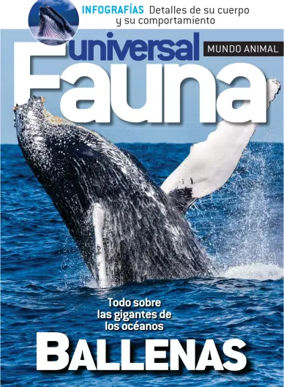 Cover of Fauna universal