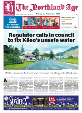 Cover of The Northland Age