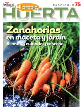 Cover of Huerta en casa