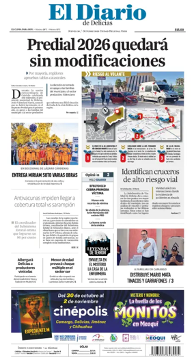 Cover of El Diario de Delicias