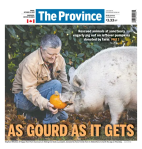 Cover of The Province