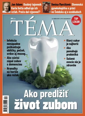 Cover of Téma