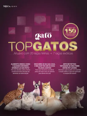 Cover of Pulo do gato