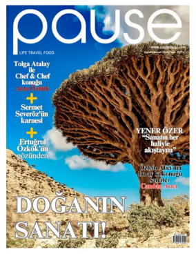 Cover of Pause Magazine