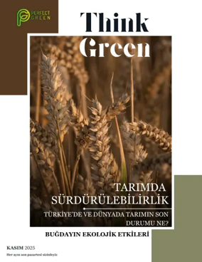 Cover of Think Green
