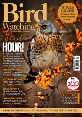 Cover of Bird Watching (UK)