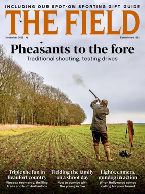 Cover of The Field