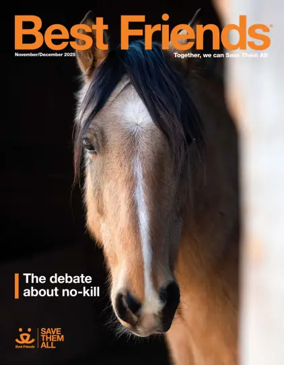 Cover of Best Friends