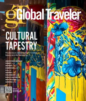 Cover of Global Traveler