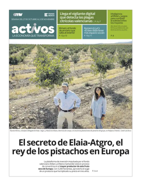 Cover of Activos