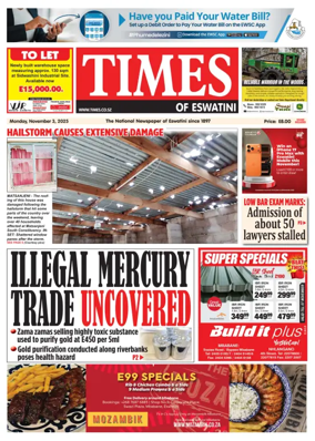 Cover of Times of Eswatini