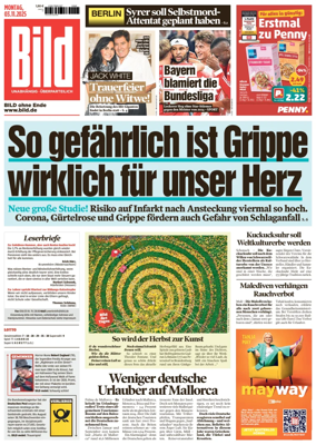 Cover of Bild