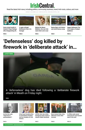 Cover of Irish Central