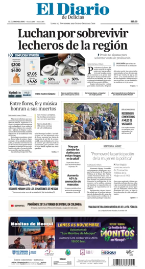 Cover of El Diario de Delicias