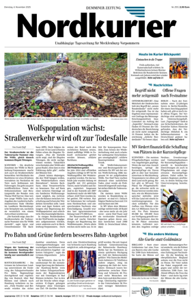 Cover of Demminer Zeitung