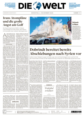Cover of Die Welt