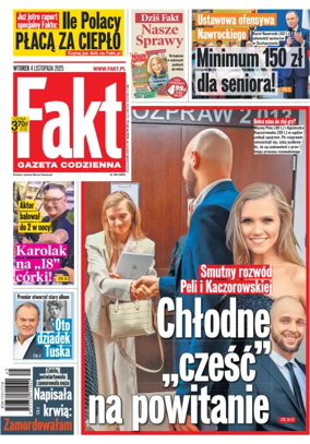 Cover of Fakt