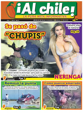 Cover of Al Chile