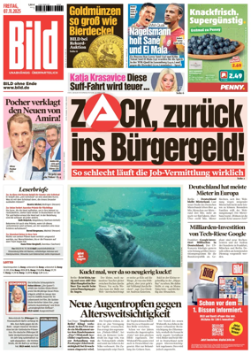 Cover of Bild