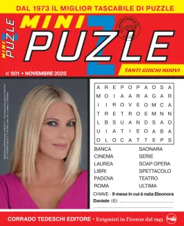 Cover of Mini Puzzle