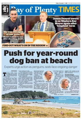 Cover of Bay of Plenty Times