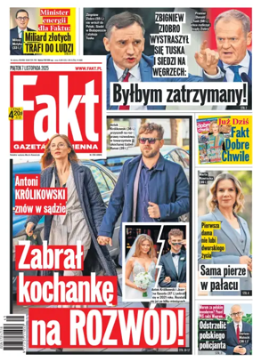 Cover of Fakt